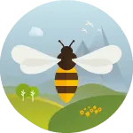 Schutz für Bienen Bienen schützen, Greenpeace